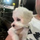 주인아 미용하고가 이미지