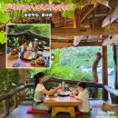 풀내음펜션민박 | 여름 강원도 평창 여행 코스 자연 속 힐링 ‘풀내음’ 메밀전&amp;막걸리 조합 최고!