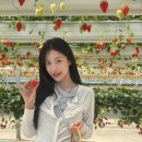 요정농장 이미지