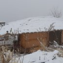 자연닮은 치유농장 이미지