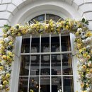 3코스 | [런던] 만족스러웠던 스케치 Sketch 런치3코스 후기