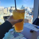 다나메드 이미지