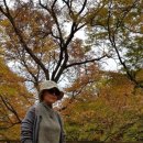 윤제린자연염색