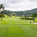 포천아도니스 C.C 이미지