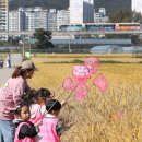 황금들녘 이미지