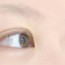 디에르 영등포점