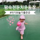 왕숙천둔치운동장 네이버블로그