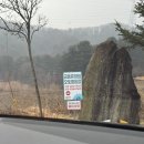 오토캠프 | 금동휴양림 오토캠핑장 캠프존2(31번 후기), 원하는 옵션은 다 있는 캠핑장