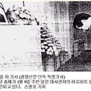 친일민주당이 김구선생을 죽였다? 이미지