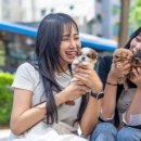 유앤미펫 강아지분양 고양이분양 용인점 이미지