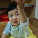 참빛 이미지