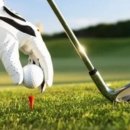 상동필드스크린 이미지