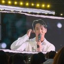 세븐틴 투어 팔로우 어게인 인천 콘 후기 (aka 아시아드 피크닉)