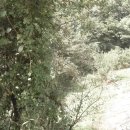 평사농장 이미지