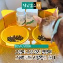 밸런스포인트 | 고양이 구강 관리 영양제 추천 그레이코트 리밸런스 면역밸런스 후기