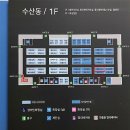 수원 농수산물시장 추천 대운수산 내돈내산 후기
