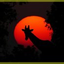 수원한의원 이미지