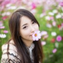 다모