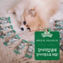 아이덴탈파트너즈 | 강아지입냄새, 강아지껌으로 없앨 수 있어요! 강아지간식 그리니즈면 OK!