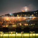 더젤 티스토리