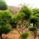 산속의정원 이미지