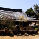 영천 신월리 삼층석탑 이미지