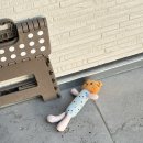 효민이네하우스