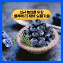 성수문량길 이미지