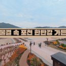 한탄강 환경 | 2025 한탄강 가든 페스타 후기 - 가을꽃과 힐링정원, 포천에서 만난 가을의 빛
