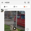 사천견생 이미지