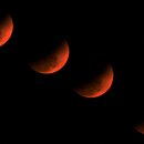 STEP(training center) 이미지