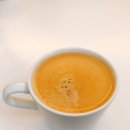 씨젤리피쉬 이미지