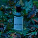 포레스트소울 이미지