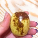 (주)바이킹마켓 이미지
