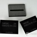 애플관광호텔 이미지