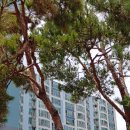 태왕리더스아파트 경로당 이미지