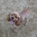 재판농장 이미지