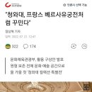 청와대 베르사유궁전처럼 꾸민다 이미지