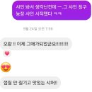 관성2농장 | [3년째] 지금이 적기! 껍질 얇은 망고향 샤인머스캣 공구 시작 !