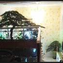 마루무인호텔 이미지