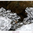 추위가 만들어낸 아름다운 얼음조각작품 이미지