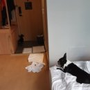 호텔 헤이(HEY) 이미지