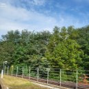 세교도서관 이미지