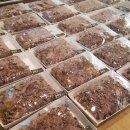 과기대당구클럽 이미지