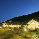 강애산애 이미지