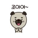 김미경 동물병원 이미지