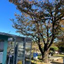 바위식당 이미지