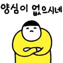 도나플로르 이미지