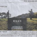 이화여자대학교 통역번역대학원 이미지