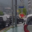 수출대로-11 이미지